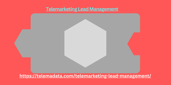 Telemarketing Lead Management